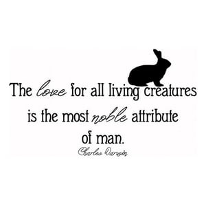 Rienda Libre Graphics - Decomural All Living Creatures Charles Darwin Ws-44081