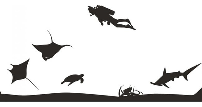 Rienda Libre Graphics - Decomural Under The Sea Diving Fish Scene Ws-17849