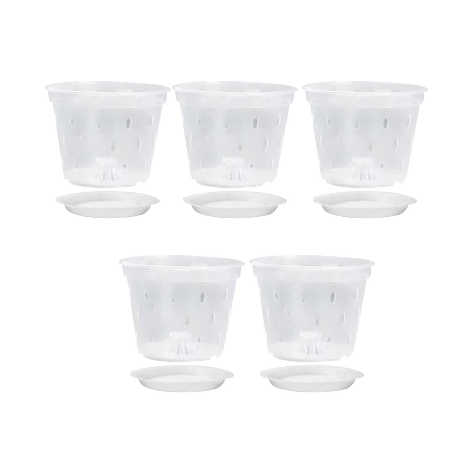 Ioensy - Macetas Transparentes Para Orquídeas, Macetero Transparente Para Sala De Estar Y Dormitorio Con Platillo De 5 Pulgadas