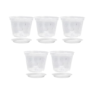 Ioensy - Macetas Transparentes Para Orquídeas, Macetero Transparente Para Sala De Estar Y Dormitorio Con Platillo De 5 Pulgadas