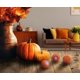 thumbnail image 5 of Bolas desodorizantes Arm & Hammer Odor BusterZ Pumpkin Cream, 5 of 5
