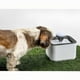 thumbnail image 2 of Fuente De Agua Bebedero Para Gatos Y Perros De 2.5 Litros, 2 of 3