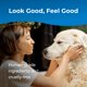 thumbnail image 5 of Champú sin agua PetAg Fresh 'n Clean Classic Fresh Scent, 5 of 5