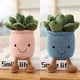 thumbnail image 3 of 9inch Creative Succulent Plant Decoration, For Garden Green Lovers Cute Succulent Sleep Seat Cushion Home Decoration, 3 of 4