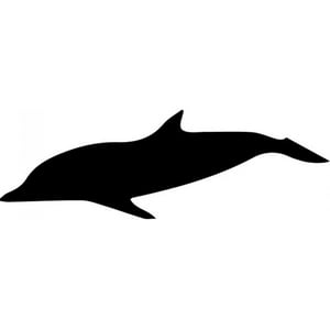 Rienda Libre Graphics - Decomural Diving Dolphin Under The Sea Pack Ws-33237