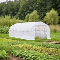 Igpro - Invernadero Tunel 18 M2 6X3X2M Blanco