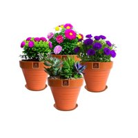 Mestiza - Set De 4 Maceta Kony 19Cm Terra Mandarina Y Sus Platos