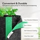 thumbnail image 4 of Macetas de tela Grow Bags VIVOSUN para trasplantes, paquete de 5 unidades, 3,8 litros, 4 of 7