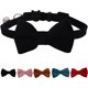 thumbnail image 1 of Collar para gato de seguridad con campana, talla S, de 7 a 11 pulgadas, 1 of 3