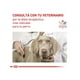 thumbnail image 4 of Royal Canin Diabético 10 Kg, 4 of 5