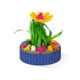 thumbnail image 4 of Jardin Mini Suculentas 3 Un Prevue, 4 of 6