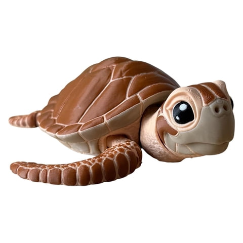 Modoko - Juguete Tortuga Marina Articulada