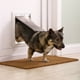 thumbnail image 2 of Puerta de perro Mediana PetSafe, 2 of 4