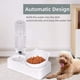 thumbnail image 3 of Juego de cuencos para gatos, bebederos y comederos, cuencos desmontables, dispensador automático de agua con botella, comedero para gatos o perros., 3 of 7