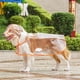 thumbnail image 1 of Xiao Hua Impermeable, a Prueba de Viento, Impermeable con Capucha para Perro Adecuado para Perros Pequeños, Medianos y Grandes, Impermeable Transparente de Plástico a la Moda para Mascota, Tamaño, 1 of 4