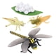 thumbnail image 2 of Modelo de Insecto de Ciclo de Vida de Libélula, Juguete Educativo para Niños, 2 of 3