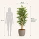 thumbnail image 2 of Planta Artificial Decorativa Arbol Grande Pack Bamboo 150cm, 2 of 10