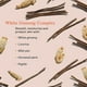 thumbnail image 3 of Crema BB Erborian con ginseng SPF 20 Fair (Clair) 45 ml, 3 of 3