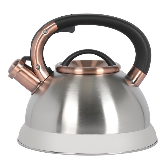 Hervidor de Agua Mr. Coffee Flintshire 2.1 L Acero Inoxidable
