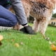 thumbnail image 5 of Pack x6 Bolsas Sanitarias para Heces Caca Perro Gato Mascotas, 5 of 6