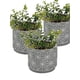 thumbnail image 1 of Plantita Artificial Deco Altura .18 Cm.., 1 of 2
