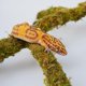 thumbnail image 3 of Juguete de escalada Jinymral 41 cm ajustable con musgo decorativo, 3 of 5