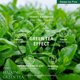 thumbnail image 4 of Mascarilla para dormir ALWAYS BE PURE Green Tea 75 ml Rich Moisture, 4 of 9