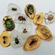 thumbnail image 2 of Explore the Fascinating World of Insects with These Educational Amber Blind Box Accessories!, 2 of 2