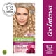 thumbnail image 1 of Coloración Cabello 9.13 Rubio muy Claro Ceniza Dorado, 1 of 1