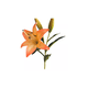 thumbnail image 2 of 4 Lilium Naranjo Flores Artificiales 69cm, 2 of 3