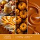 thumbnail image 4 of Cápsulas de cera Scentsationals 24 piezas Fiesta de Calabaza 10 oz, 4 of 8