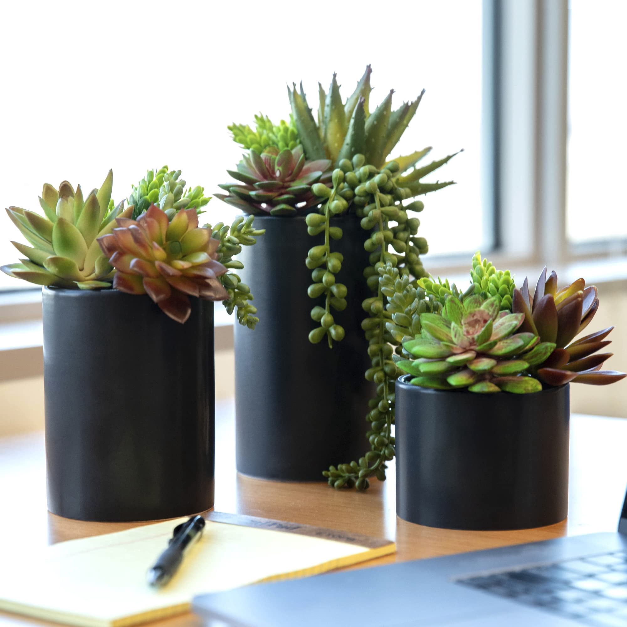 Seeko Succulents - Plantas Suculentas Artificiales Seeko (paquete De 3) Con Maceta Negra
