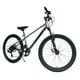 thumbnail image 2 of Bicicleta Royal Baby Crown MTB JR 21V 24" Aluminio Gris, 2 of 6