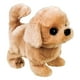 thumbnail image 3 of Westminster, Inc. Redley the Retriever - Cute, Cuddly, Plu Westminster Westminster, 3 of 3