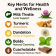 thumbnail image 4 of Té de hierbas B-Experts para el apoyo hepático 24 bolsitas vegano, 4 of 9