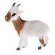 thumbnail image 5 of Simulación Furry Little Goat Modelo Figura Artesanía Hogar Oficina Decoración B, 5 of 5