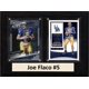 thumbnail image 1 of Placa C&I Collectables NCAA Delaware Fightin' Blue Hens Joe Flacco, 1 of 1
