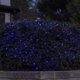 thumbnail image 2 of Bombilla Celebrations NET Classic T5 azul, 100 unidades, 1,8 m, 2 of 6