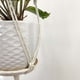 thumbnail image 4 of Colgador de Plantas Macramé Simple Blanco (F), 4 of 4