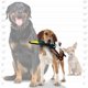 thumbnail image 2 of Juguete de peluche para perros TUFFY Barnyard Junior Duck con chirriadores, 2 of 7