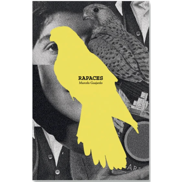 Libro Rapaces