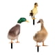 thumbnail image 5 of 3 Piezas De Adornos De Estacas De Estatua De Animales De Pato Para Decoración De Pato Al Aire Libre En El Patio Trasero, 5 of 5
