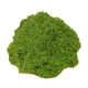 thumbnail image 2 of Plantas Verdes Artificiales, Plantas En Maceta, Manualidades, Relleno, Decoración Para Patio, 50G, Musgo Sintético, Verde Claro, 2 of 5
