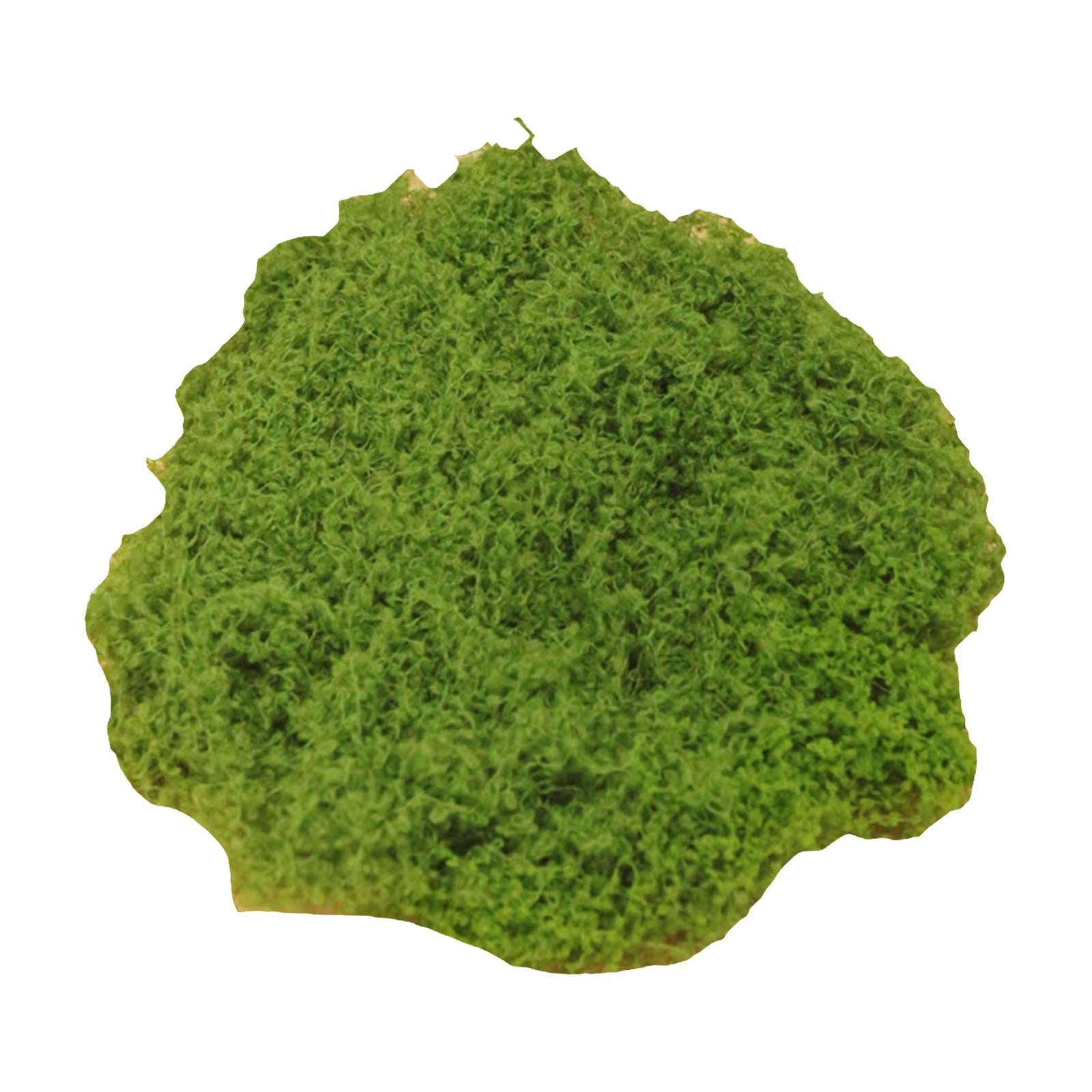 Magideal - Plantas Artificiales, Maceteros Para El Hogar De Sintético De 50g, Plantas Decorativas De Liquen Verde Falso Para Manualidades, Césped Verde Claro