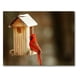 thumbnail image 5 of Tarjetas de notas Small World Greetings – Cardenal (paquete de 12), 5 of 8