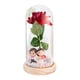 thumbnail image 3 of Regalos De Flores De Rosas Decoración Romántica De San Valentín Rosa Iluminada En Cúpula De Vidrio Base De Madera Pareja, 3 of 3