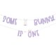 thumbnail image 1 of Bandera Sherkarmiu “Some Bunny Is One” morada, 1 of 7