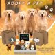 thumbnail image 5 of Party Favors Tldcdte Adopta un cachorro, 37 unidades con 12 perros de peluche, 5 of 9