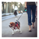 thumbnail image 2 of Correa retractril automatica paseo perro mascotas 5 metros, 2 of 3