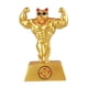 thumbnail image 3 of Estatuilla De Gato De La Suerte Chino Dorado Decoración De Brazo De Músculo De Mano 6,3 "resina Para El Hogar, 3 of 6